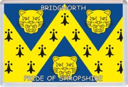 Bridgnorth - Pride of Shropshire County Flag - Jumbo Fridge Magnet Souvenir Gift