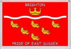 Brighton - Pride of East Sussex County Flag - Jumbo Fridge Magnet Souvenir Gift Present