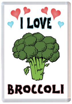 I Love Broccoli - Jumbo Fridge Magnet Souvenir Gift Present