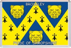 Broseley - Pride of Shropshire County Flag - Jumbo Fridge Magnet Souvenir Gift