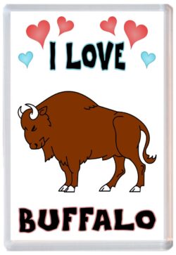 I Love Buffalo - Jumbo Fridge Magnet Souvenir Gift Present