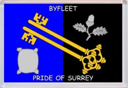 Byfleet - Pride of Surrey County Flag - Jumbo Fridge Magnet Souvenir Gift