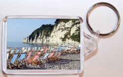 Beer - Devon - Double Sided Large Keyring Key Fob Chain Ring Gift Present Souvenir