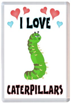 I Love Caterpillars - Jumbo Fridge Magnet Souvenir Gift Present