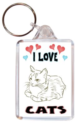I Love Cats - Double Sided Large Keyring Key Fob Chain Ring Name Tag Gift Present Souvenir