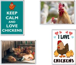 Chicken/Chickens - Keep Calm, I Love & More - 4 PACK - Jumbo Fridge Magnet Souvenir Gift Present