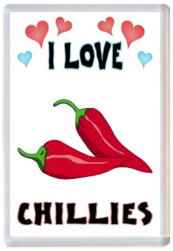 I Love Chillies - Jumbo Fridge Magnet Souvenir Gift Present