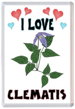 I Love Clematis - Jumbo Fridge Magnet Souvenir Gift Present