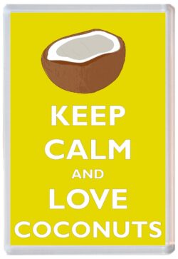 I Love Coconuts - Double Sided Large Keyring Key Fob Chain Ring Name Tag Gift Present Souvenir