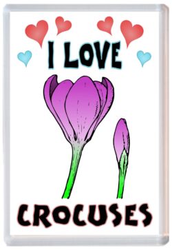 I Love Crocuses - Jumbo Fridge Magnet Souvenir Gift Present