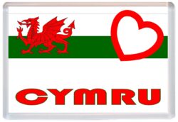 Cymru - Love Wales/Welsh Towns & Cities Flag - Jumbo Fridge Magnet Souvenir Gift Present