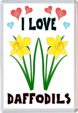 I Love Daffodils - Jumbo Fridge Magnet Souvenir Gift Present