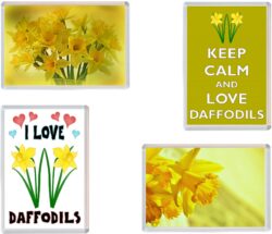Daffodils/Daffodil - Keep Calm, I Love & More - 4 PACK - Jumbo Fridge Magnet Souvenir Gift Present