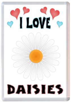 I Love Daisies - Jumbo Fridge Magnet Souvenir Gift Present