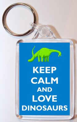 Keep Calm and Love Dinosaurs - Double Sided Large Keyring Key Ring Fob Chain Name Tag Gift Present Souvenir