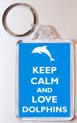 Keep Calm and Love Dolphins - Double Sided Large Keyring Key Ring Fob Chain Name Tag Gift Present Souvenir