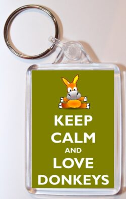 Keep Calm and Love Donkeys- Double Sided Large Keyring Key Ring Fob Chain Name Tag Gift Present Souvenir