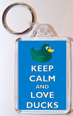 Keep Calm and Love Ducks - Double Sided Large Keyring Key Ring Fob Chain Name Tag Gift Present Souvenir