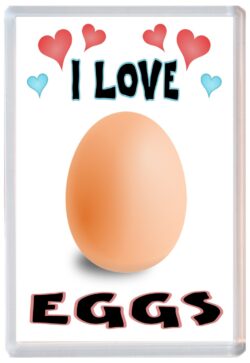 I Love Eggs - Jumbo Fridge Magnet Souvenir Gift Present