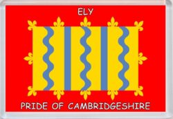 Ely - Pride of Cambridgeshire County Flag - Jumbo Fridge Magnet Souvenir Gift Present