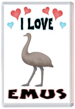 I Love Emus - Jumbo Fridge Magnet Souvenir Gift Present