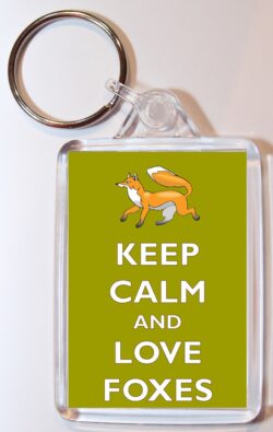Keep Calm and Love Foxes - Double Sided Large Keyring Key Ring Fob Chain Name Tag Gift Present Souvenir