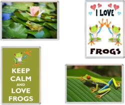 Frog/Frogs - Keep Calm, I Love & More - 4 PACK - Jumbo Fridge Magnet Souvenir Gift Present