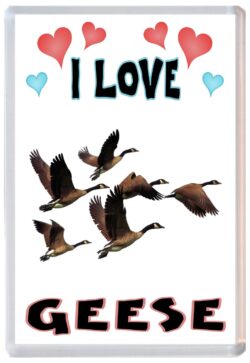 I Love Geese - Jumbo Fridge Magnet Souvenir Gift Present