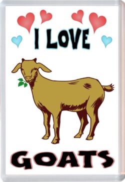 I Love Goats- Jumbo Fridge Magnet Souvenir Gift Present