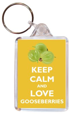 Keep Calm and Love Gooseberries - Double Sided Large Keyring Key Ring Fob Chain Name Tag Gift Present Souvenir