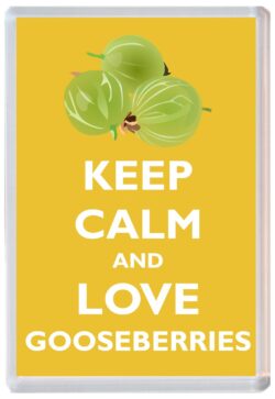 Keep Calm and Love Gooseberries - Jumbo Fridge Magnet Souvenir Gift Present