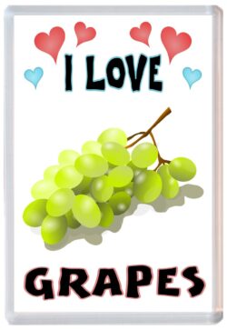I Love Grapes - Jumbo Fridge Magnet Souvenir Gift Present