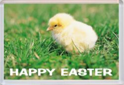 Happy Easter - Jumbo Fridge Magnet Gift Present Souvenir Chick