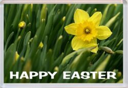 Happy Easter - Jumbo Fridge Magnet Gift Present Souvenir Daffodils