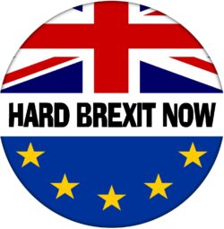 Hard Brexit Now - 59mm Badge Referendum Brexit European Union EU Vote Leave Stay