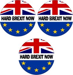 Hard Brexit Now - 3 PACK - 59mm Badge Referendum Brexit European Union EU Vote Leave Stay