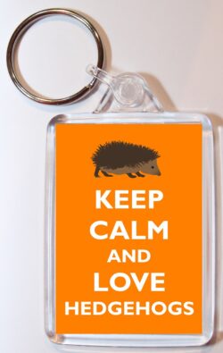 Keep Calm and Love Hedgehogs - Double Sided Large Keyring Key Ring Fob Chain Name Tag Gift Present Souvenir