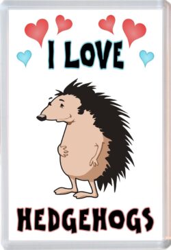 I Love Hedgehogs - Jumbo Fridge Magnet Souvenir Gift Present