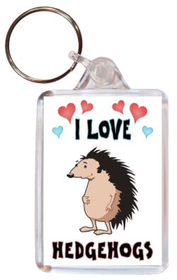 I Love Hedgehogs - Double Sided Large Keyring Key Fob Chain Ring Name Tag Gift Present Souvenir