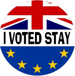 I Voted Stay - 59mm Badge Referendum Brexit European Union EU Vote Leave Stay