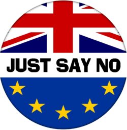 Just Say No - 59mm Badge Referendum Brexit European Union EU Vote Leave Stay
