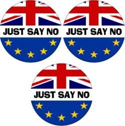 Just Say No - 3 PACK - 59mm Badge Referendum Brexit European Union EU Vote Leave Stay