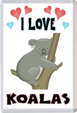 I Love Koalas - Jumbo Fridge Magnet Souvenir Gift Present