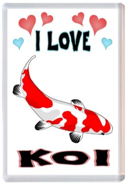 I Love Koi - Jumbo Fridge Magnet Souvenir Gift Present