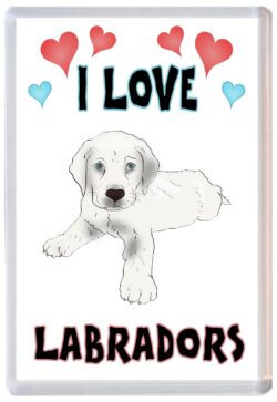 I Love Labradors - Jumbo Fridge Magnet Souvenir Gift Present