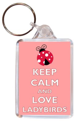 Keep Calm and Love Ladybirds - Double Sided Large Keyring Key Fob Chain Ring Gift Present Souvenir