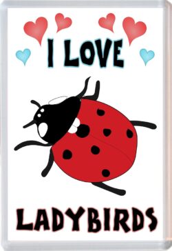 I Love Ladybirds - Jumbo Fridge Magnet Souvenir Gift Present