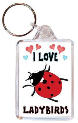 I Love Ladybirds - Double Sided Large Keyring Key Fob Chain Ring Name Tag Gift Present Souvenir