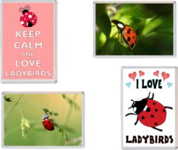 Ladybird/Ladybirds - Keep Calm, I Love & More - 4 PACK - Jumbo Fridge Magnet Souvenir Gift Present