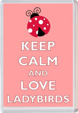 Keep Calm and Love Ladybirds - Jumbo Fridge Magnet Souvenir Gift Present